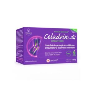 celadrin extract forte 500 mg 60 capsule good days therapy.jpg